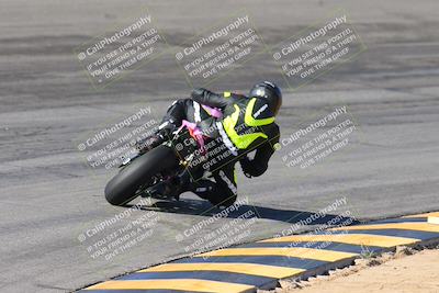 media/Feb-04-2024-SoCal Trackdays (Sun) [[91d6515b1d]]/4-Bowl Backside (11am)/